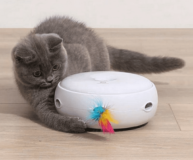 Пример использования игрушки для кошек Xiaomi Homerun Smart Cat Toy